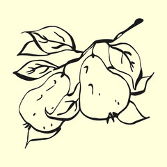 Poster with a pear branch in doodle style