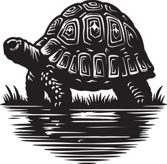 Fototapeta premium Tortoise vector silhouette with white background