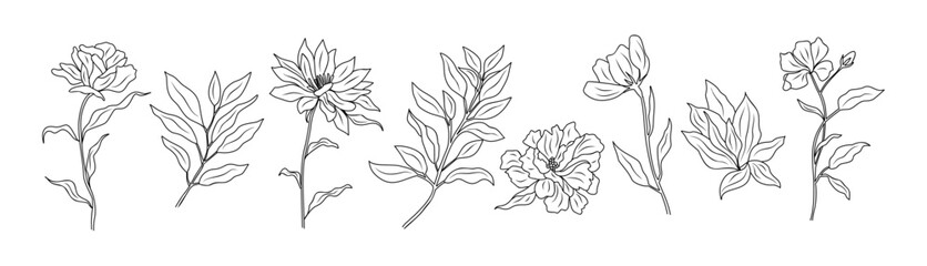 Set of tiny wild flowers and plants line art vector botanical illustrations. Trendy greenery hand drawn black ink sketches collection. Modern design for logo, tattoo, wall art, branding and packaging.
