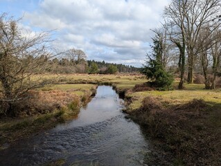Beautiful stream and landscape 