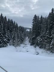 Heavy snow in Quebec, Canada
