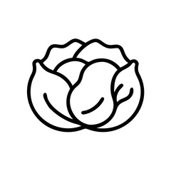 Cabbage 