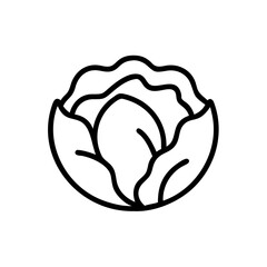 Cabbage 