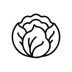 Cabbage 