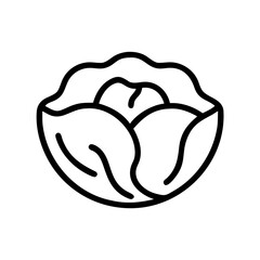 Cabbage 