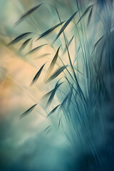 Whispering Grasses: A Tranquil Scene of Nature's Unkempt Elegance Bathed in Golden Sunlight