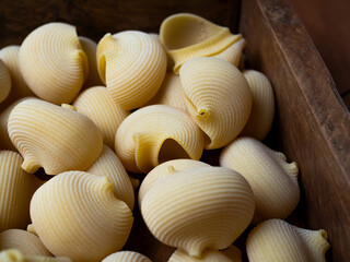 Sopa de galets en cataluña y lumaconi en italia