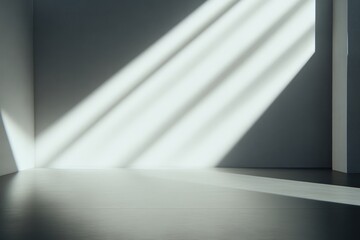Minimalist, sunlit interior space.  Empty room with strong sunlight casting dramatic shadows on white walls and dark floor