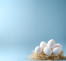 square banner with pile of white eggs laying in straw nest, isolated over bright blue background; empty scene, concept of easter eggs, high costs of food, newscastle disease egg problem; copy space
