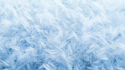 Obraz premium Macro View of Frost and Ice Crystals in Soft Blue and White Winter Tones 