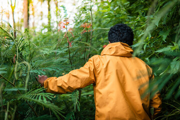A man wearing a yellow jacket explores a lush green forest, surrounded by dense vegetation and tropical plants. Sunlight filters through the trees, creating a serene and adventurous atmosphere.