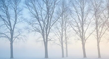 Fototapeta premium Bare Trees Standing Silently in Winter Fog with Pastel Sky