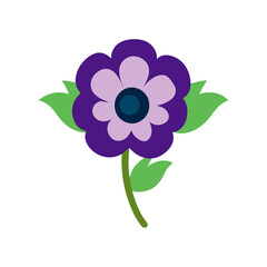 Anemone flower vector illustration