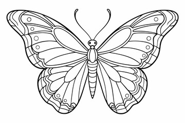 coloring page line art the butterfly black vector