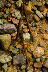 rusty nails in nature