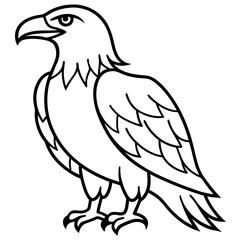 eagle vector illustration
