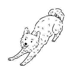 Vector illustration of a Yakut husky in a sleepy but joyful pose.