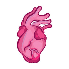 stylized heart. vector illustration. anatomy body horror. medicine.