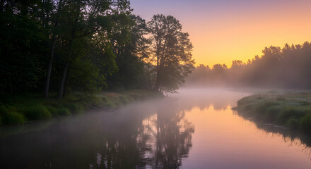 Fototapeta premium Foggy River at Sunrise Reflecting Golden Sky Through Forest Trees