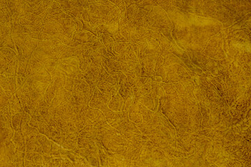 texture of insects in the sand