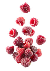 raspberries on white background