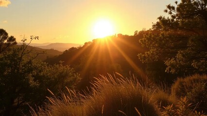 Sol con rayos que se extienden por la naturaleza, luz, paisaje