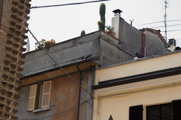Rooftops in Rimini with unexpected cactus plants, mixing Mediterranean charm with urban elements.