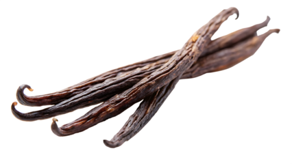 vanilla bean isolated on white background PNG. GENERATIVE AI
