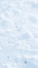 Obraz premium Delicate snowflakes gently falling on white ground, white ground, gentle fall