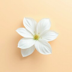 Fototapeta premium Beige background with white flower and large petals, beige, background, composition