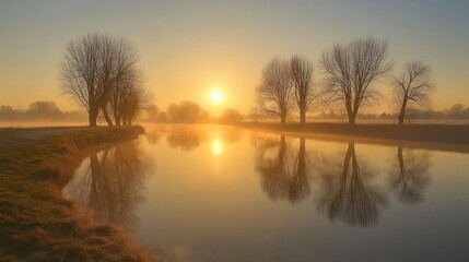 Obraz premium Golden sunrise reflecting on calm water near some bare trees