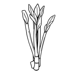 Vibrant Spring Greens A Fresh Botanical Illustration