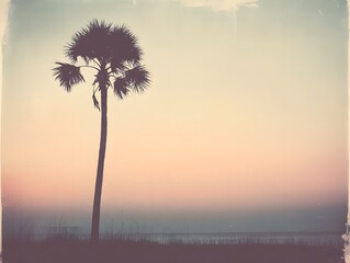A silhouetted palm tree against a pastel sunset sky. long_title:A serene, vintage-style photograph depicting the silhouette of a single palm tree