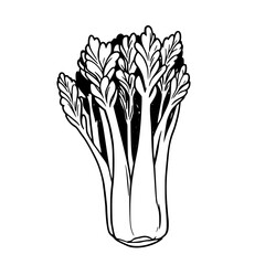 Fresh Celery Stalks Vibrant Green Vegetable Illustration