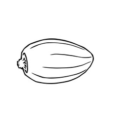 A Simple Line Drawing of a Single Ripe Melon