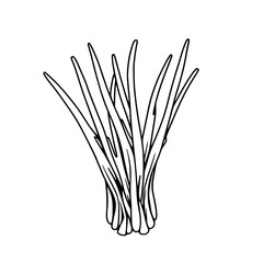 Fresh Green Onions Vibrant Culinary Herb Bunch Illustration