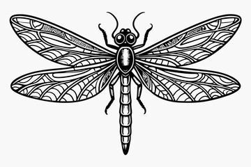 coloring page line art the dragonfly black vector