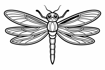 coloring page line art the dragonfly black vector