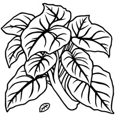 Lush Green Tropical Foliage A Vibrant Botanical Illustration