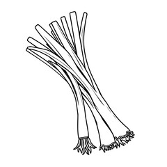 Fresh Green Onions A Culinary Delight Line Art Illustration
