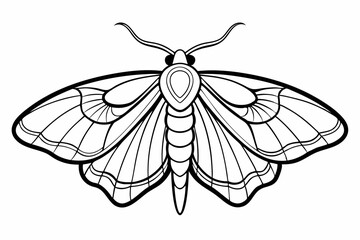 coloring page line art the moth black vector