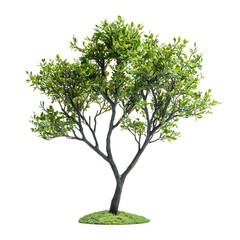 LED Lit Artificial Tree with Green Leaves Isolated on Transparent Background