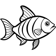 fish vector illustration