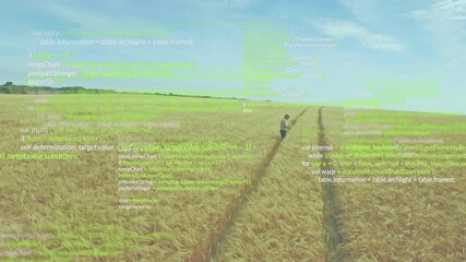 Person walking through wheat field with green code overlay animation - Powered by Adobe