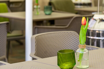 natural decoration on a table in a restaurant. tulip in a vase on a table.