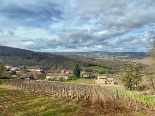 Vignoble et village dans le Mâconnais 