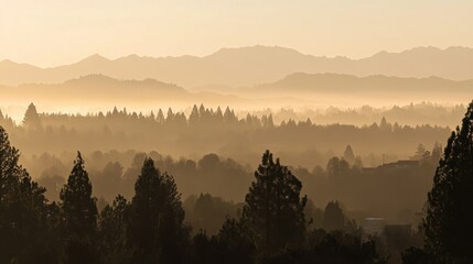 Fototapeta premium Hazy morning light illuminates layers of mountains and trees