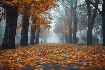 Autumn's Golden Path: A tranquil view of a leaf-strewn path through trees, bathed in the soft, misty light of an autumn day.