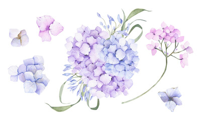 Delicate Hand Painted Watercolor Hydrangea Set, Blue  and Purple Spring Flowers, ideal for Wedding Invitations, Cards and Floral Designs