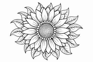 coloring page line art the sunflower black vector